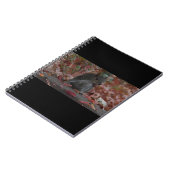 Carnet Écureuil (Côté gauche)