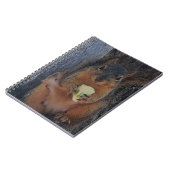 Carnet Écureuil (Côté gauche)