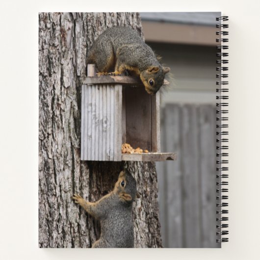 Carnet Écureuil (Dos)