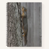 Carnet Écureuil (Devant)