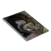 Carnet écureuil (Côté Droit)