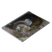 Carnet écureuil (Côté gauche)