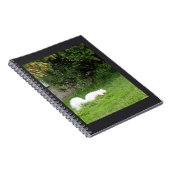 Carnet Écureuil Albino (Côté Droit)