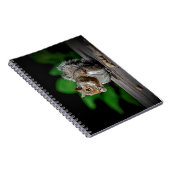 Carnet Écureuil aux cacahuètes (Côté Droit)