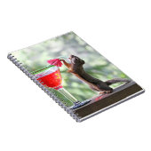 Carnet Écureuil buvant un cocktail à l'heure heureuse (Côté Droit)