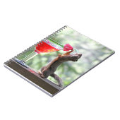 Carnet Écureuil buvant un cocktail à l'heure heureuse (Côté gauche)