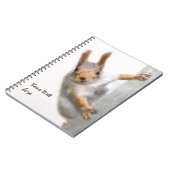 Carnet Écureuil curieux (Côté gauche)