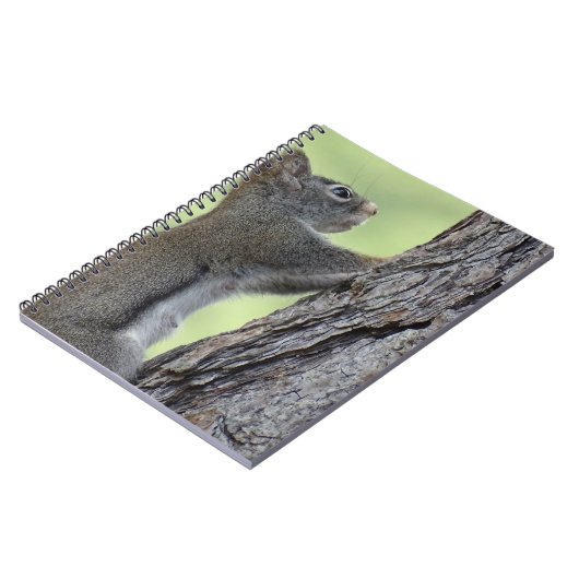 Carnet Écureuil dans l'arbre (Côté gauche)