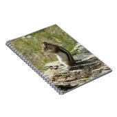 Carnet Écureuil de fond à manteau doré au glacier I (Côté Droit)