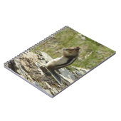 Carnet Écureuil de fond à manteau doré au glacier I (Côté gauche)