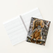 Carnet Écureuil de renard (Intérieur)