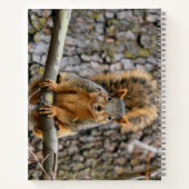 Carnet Écureuil de renard (Dos)