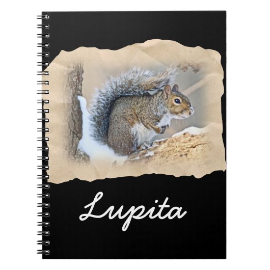 Carnet Écureuil gris de l'Est - Sciurus carolinensis (Devant)