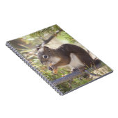 Carnet Écureuil mangeant un cône de pin 2 (Côté Droit)