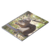 Carnet Écureuil mangeant un cône de pin 2 (Côté gauche)