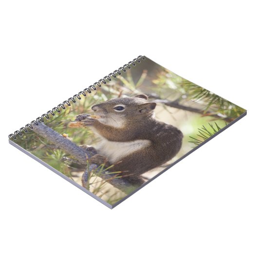 Carnet Écureuil mangeant un cône de pin 2 (Côté gauche)