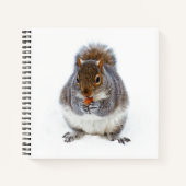 Carnet Écureuil mangeant une noix (Devant)