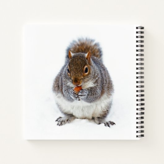 Carnet Écureuil mangeant une noix (Dos)