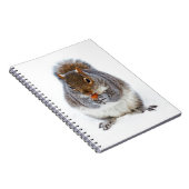 Carnet Écureuil mangeant une noix dans la neige d'hiver (Côté Droit)