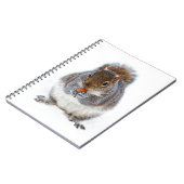 Carnet Écureuil mangeant une noix dans la neige d'hiver (Côté gauche)
