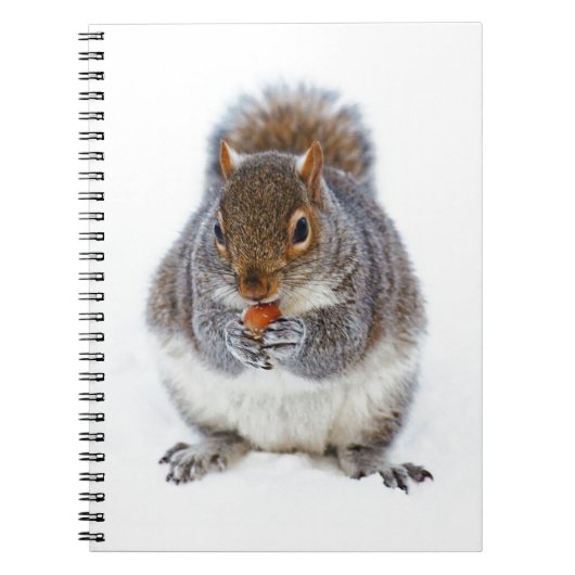 Carnet Écureuil mangeant une noix dans la neige d'hiver (Devant)