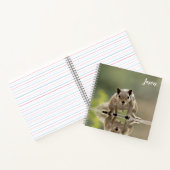 Carnet Écureuil mignon animal (Intérieur)