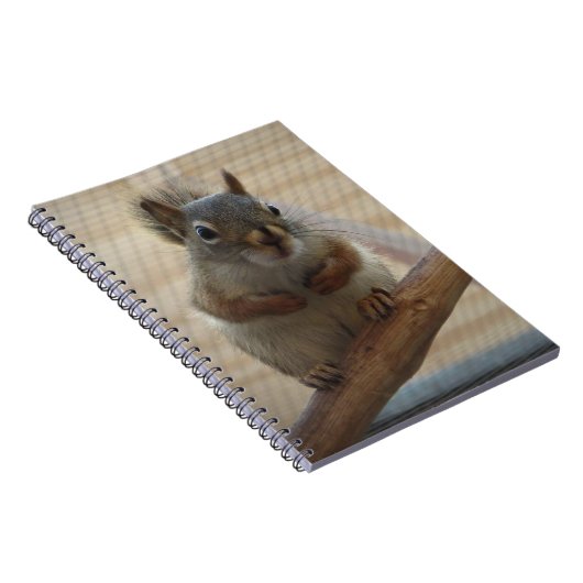 Carnet Écureuil mûr à la branche (Côté Droit)