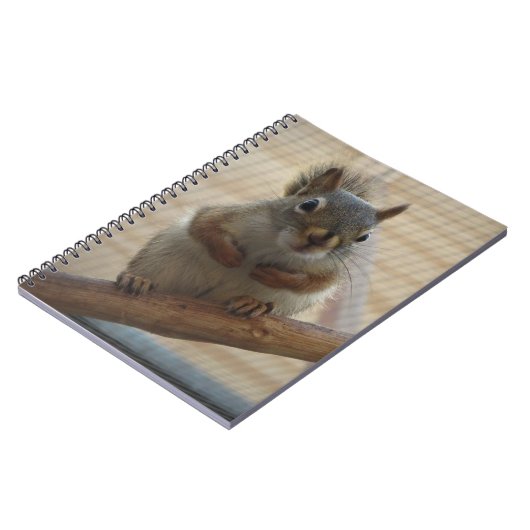 Carnet Écureuil mûr à la branche (Côté gauche)