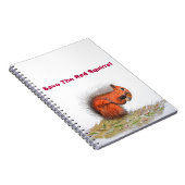 Carnet Écureuil rouge (Côté Droit)