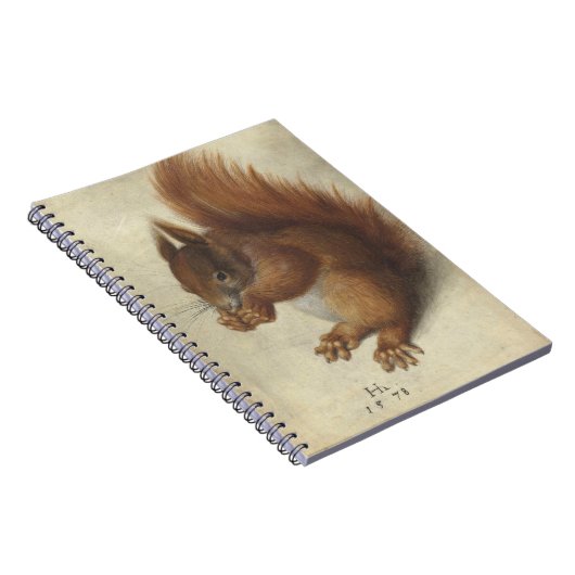 Carnet Écureuil rouge | Hans Hoffmann (Côté Droit)