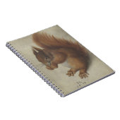 Carnet Écureuil roux (par Hans Hoffmann) (Côté Droit)
