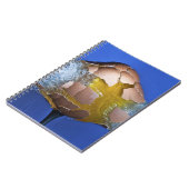 Carnet Eggceptional (Côté gauche)