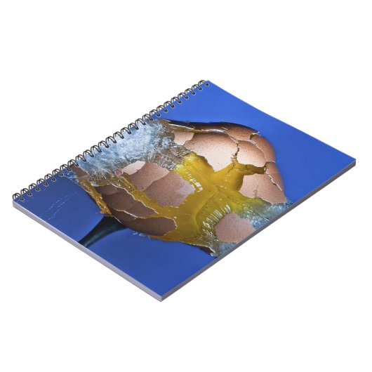 Carnet Eggceptional (Côté gauche)