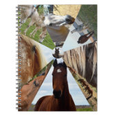 Carnet Eight Horse Triangles, Notebook (Devant)