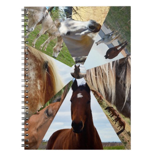 Carnet Eight Horse Triangles, Notebook (Devant)