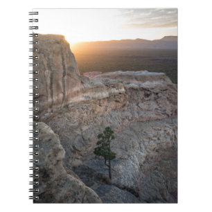 Carnet El Malpais Sandstone Bluffs