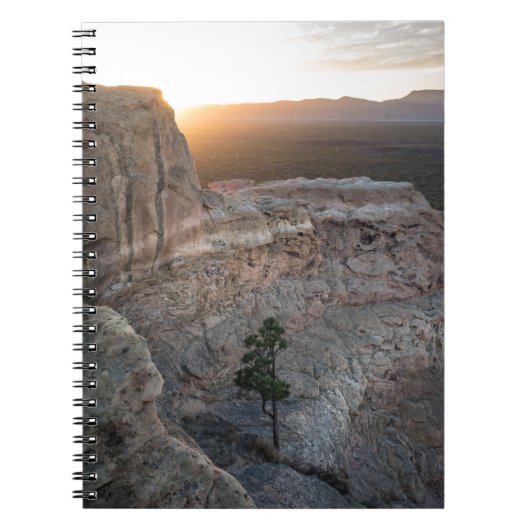 Carnet El Malpais Sandstone Bluffs (Devant)