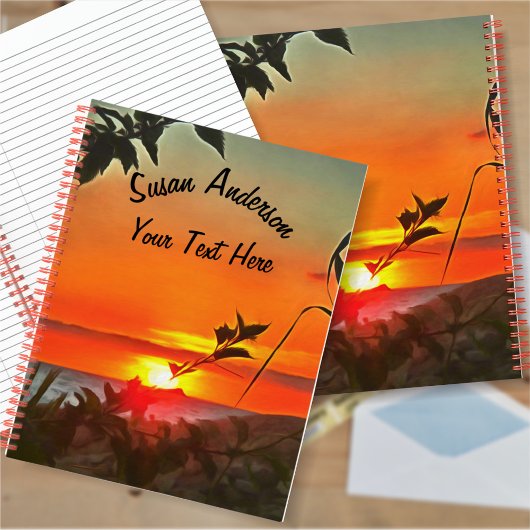 Carnet El Rio Pitillal 2009