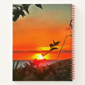 Carnet El Rio Pitillal 2009 (Dos)