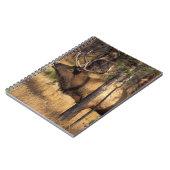 Carnet élan, Cervus elaphus, taureau claironne dans un br (Côté gauche)