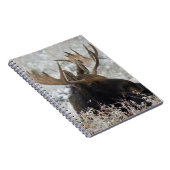 Carnet Élan mâle de Shiras (Côté Droit)