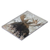 Carnet Élan mâle de Shiras (Côté gauche)