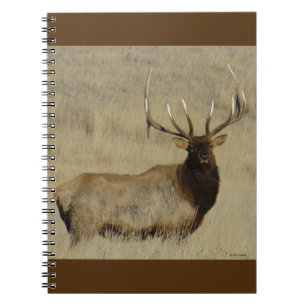Carnet Élan mâle E30 Gros Taureau