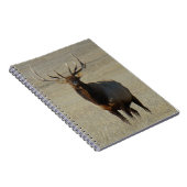 Carnet Élan mâle E59 (Côté Droit)