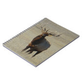 Carnet Élan mâle E59 (Côté gauche)