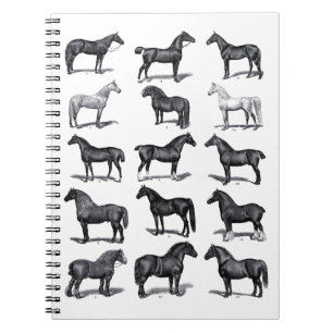 Carnet Elegant Black White Equestrian Vintage Horse