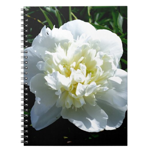 Carnet Elégant blanc peony floral blanc photo (Devant)