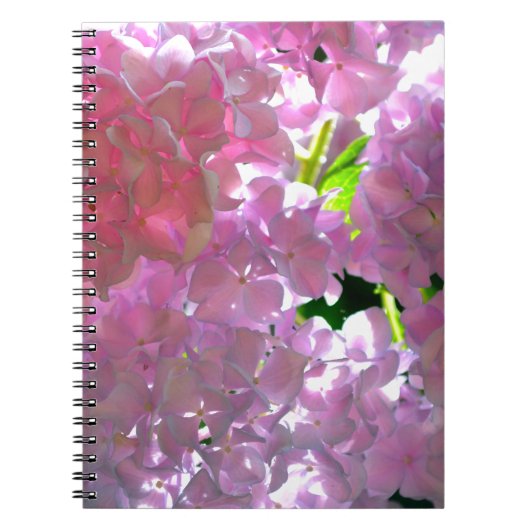 Carnet Élégant boho rose florales fleurs hydrangées (Devant)