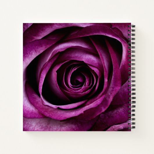 Carnet Elegant Dark Purple Rose (Dos)