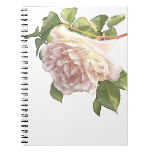 Carnet Elégant rose à fleurs blanc peachy orange foncé (Devant)